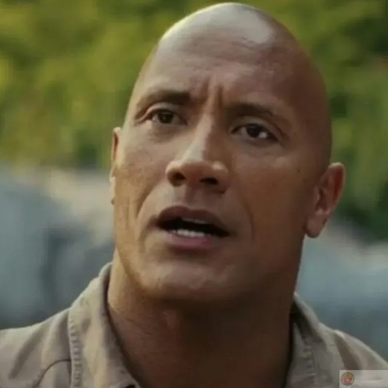 Meme the rock — tổng hợp ảnh đẹp cập nhật 2026 · ảnh 3